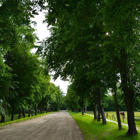 Gamtos Apsupty Apartment Palanga Bagian luar foto