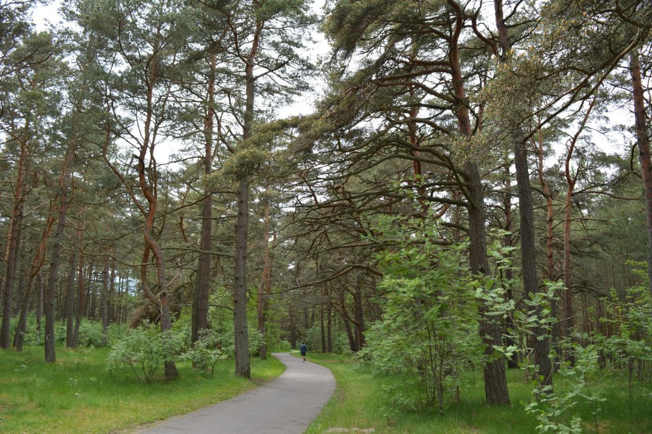 Gamtos Apsupty Apartment Palanga Bagian luar foto